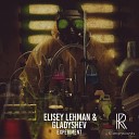 Elisey Lehman Gladyshev - Experiment 6