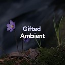 Musique Zen - Gifted Ambient Pt 20