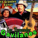 Los Tremendos Gavilanes - Mis Pasos Andaran