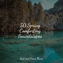 Healing Sounds for Deep Sleep and Relaxation Happy Baby Lullaby Collection Sleeping Music… - Summer Storm