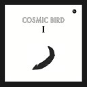 Cosmic Bird - The End of the World Tectonic Plates On…