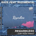 Raye Rudimental - Regardless Leo Burn Radio Edit