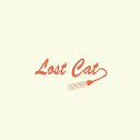 Lost Cat - L O S T