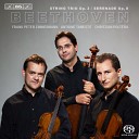 Trio Zimmermann - II Menuetto Allegretto