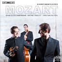 Trio Zimmermann - III Menuetto Allegretto