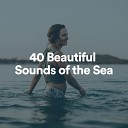 Relaxing Ocean Sounds - Relaxation Waves Pt 13