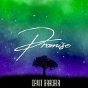 Davit Barqaia - Promise