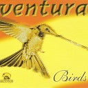 Ventura - Birds Pan O Dub Mix Remastered 2020