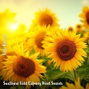 Steve Brassel - Sunflower Field Calming Wind Sounds Pt 19