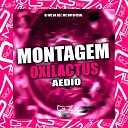 DJ WZ DA DZ7 MC BM OFICIAL - Montagem Oxilactus Aedio