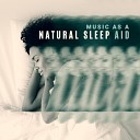 Natural Sleep Aid Ensemble - Beautiful Dream
