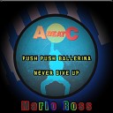 Mario Ross - Never Give Up Extended Mix