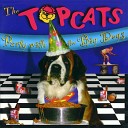 The Topcats - Y M C A