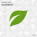 Seckin Uzer - Pluperfect Rework