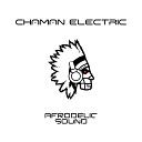 Electric Chaman - Vacuum Love