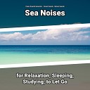 Ocean Sounds Generator Ocean Sounds Nature… - Waves Sound Effect for Deep Sleep