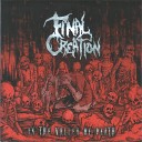 Final Creation - In the Valley of Death