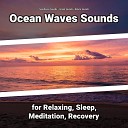 Sea Waves Sounds Ocean Sounds Nature Sounds - Asmr Sound Effect for Dog Barking