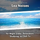 Relaxing Music Ocean Sounds Nature Sounds - Beautiful Sound Effect