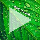 Rain Sounds by Denys Lorant Rain Sounds Yoga… - Asmr for Inner Peace