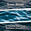 Ocean Sounds Recordings Ocean Sounds Nature… - Reflective Water Noises