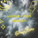 Bruno Oliver - Woobs from Heaven