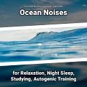 Ocean Sounds Recordings Ocean Sounds Nature… - Asmr Ambience Without Music