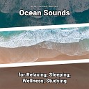 New Age Ocean Sounds Nature Sounds - Asmr Ambience for Everyone