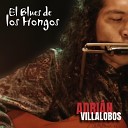 Adri n Villalobos - El Blues de los Hongos Acoustic