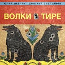 Юрий Шевчук Дмитрий… - Чайковский