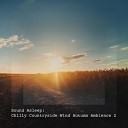 Elijah Wagner - Chilly Countryside Wind Autumn Ambience Pt 3