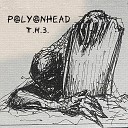 Polyonhead - Т Н З