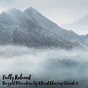 Steve Brassel - Rugged Mountain Top Wind Blowing Sounds Pt 19