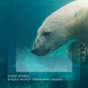 Elijah Wagner - Frigid Arctic Underwater Sounds Pt 9