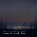 Elijah Wagner - Soothing Nighttime Crickets and Frogs Lake Sounds Pt…