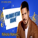 Nikola Rokvic - Polomio vetar grane Cover