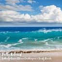 Steve Brassel - Soothing Ocean Waves Crashing on a Sandy Beach Pt…