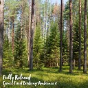 Steve Brassel - Spruce Forest Birdsong Ambience Pt 11