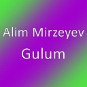 Alim Mirzeyev - Gulum