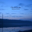 Cats Never Die - Fighting in the Darkness