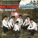 Los Indomables de Huetamo - El Patr n de Texas