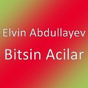 Elvin Abdullayev - Bitsin Acilar