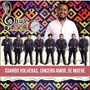 Chuy D az Y Su Estilo Huehueteco - Cuando Volveras Sincero Amor Se Muere