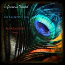 Infamous sound feat Adam Tabb Jenny - The Colours of You