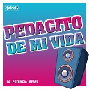 La Potencia Rebel - Pedacito de Mi Vida