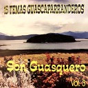 Son Guasquero - Solo Era un Sue o