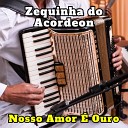 Zequinha do Acordeon - Tchau Amor Cover