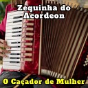 Zequinha do Acordeon - Ela Tem o Que Preciso