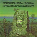 Terence McKenna feat Zuvuya - Dream Matrix Telemetry With Zuvuya