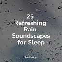 Sound Sleeping Pure Serenity Spa Music Massage Collective Garden Zen Relaxation Meditation Lush Rain… - Ocean Waves and Seagulls